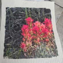 Coalmine Indian Paintbrush ~ Swedish Dish Cloth ~EXCLUSIVE~ - My Wyo Designs