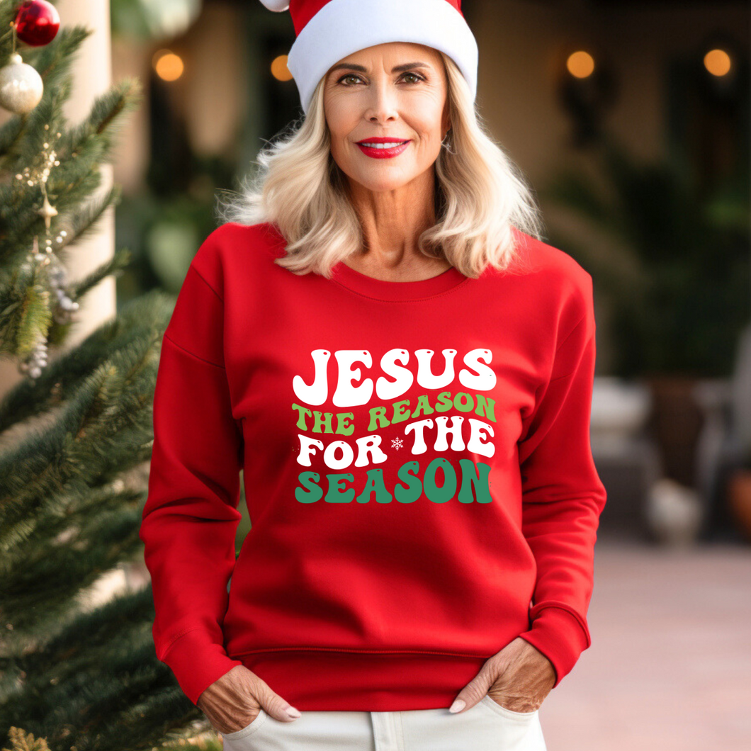 Jesus the Reason for the Season~ Gildan Sweatshirt