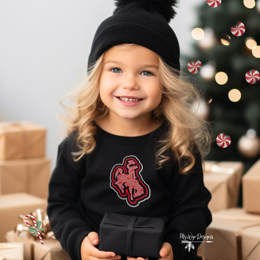 Peppermint Steamboat ~TODDLER  Black sweatshirt