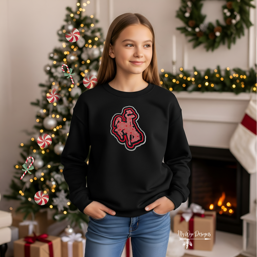 Peppermint Steamboat ~ YOUTH Black sweatshirt