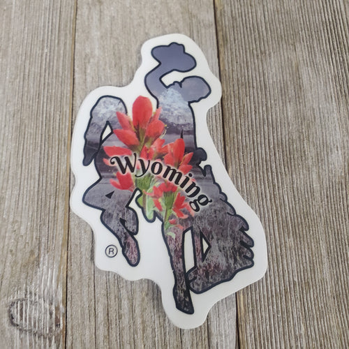 Wyoming Paintbrush in the Mountains Decal - My Wyo Designs