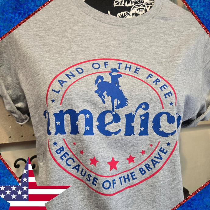 Land of the Free ~ Americana~ Grey Bella Tee